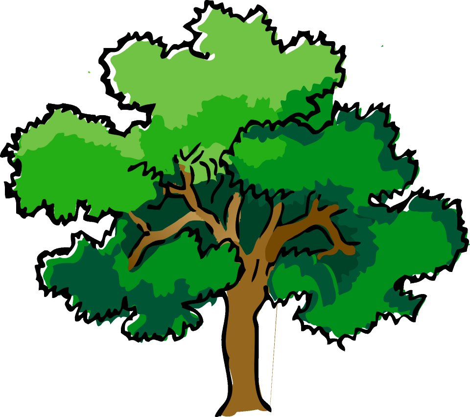 Tree Woody Plant Green Plant
