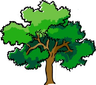 Tree Woody Plant Green Plant