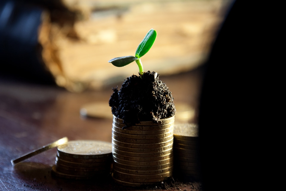 Grow up income dividends
