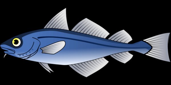 Fish Fin Product Design Organism