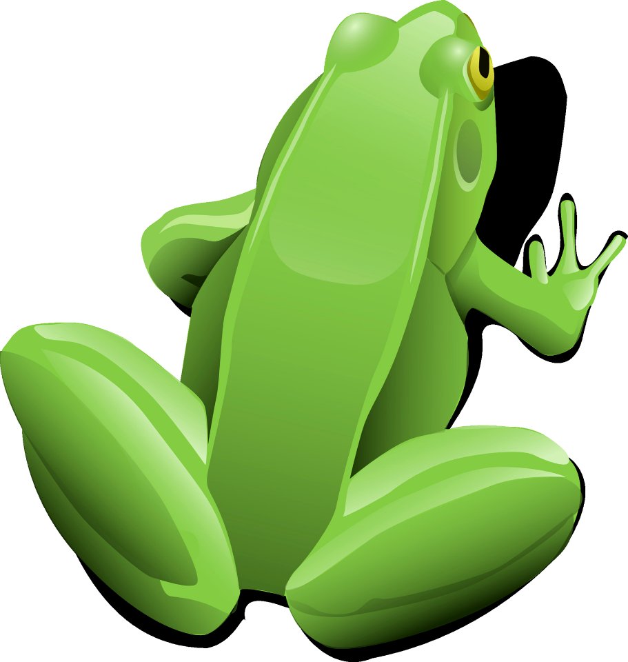 Green Frog Amphibian Vertebrate