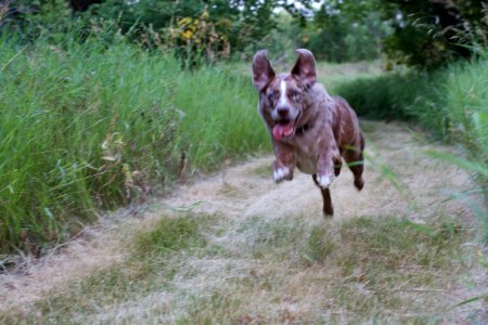 Flying Faster Than The Speed Of Shutter