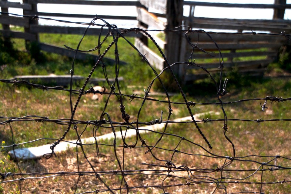Extra Wire
