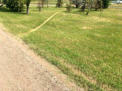 When Desire Paths Have Desire Paths