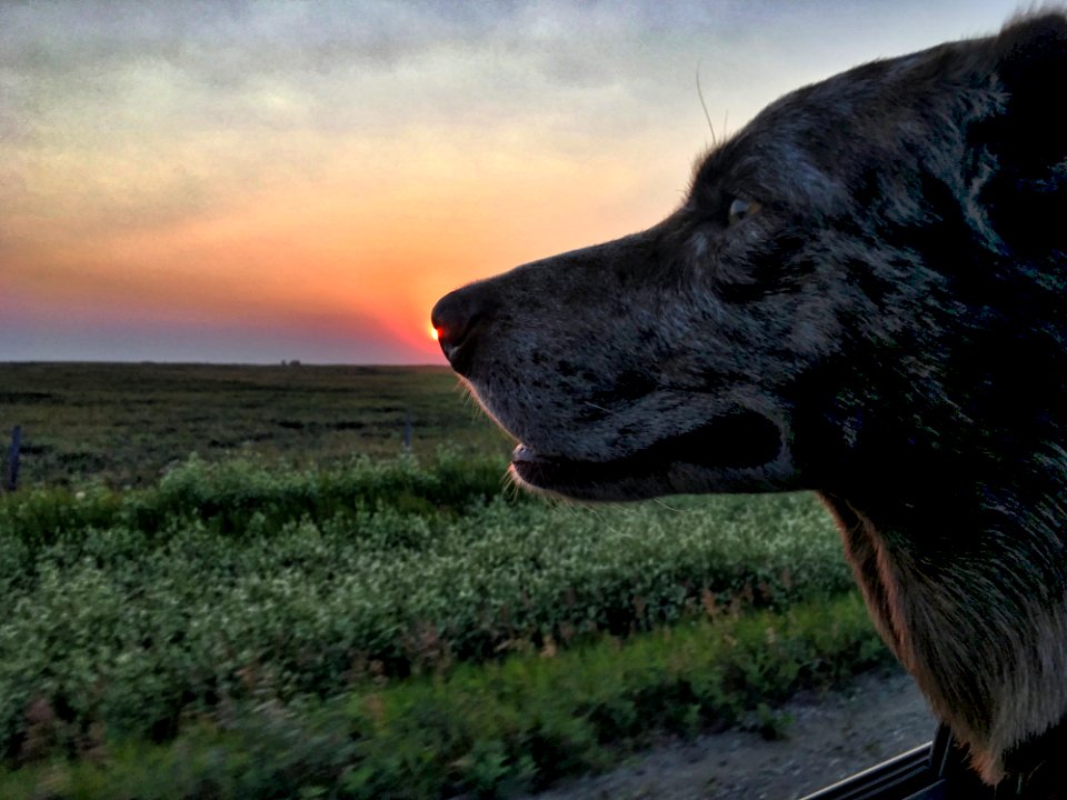 Sensing The Sunset