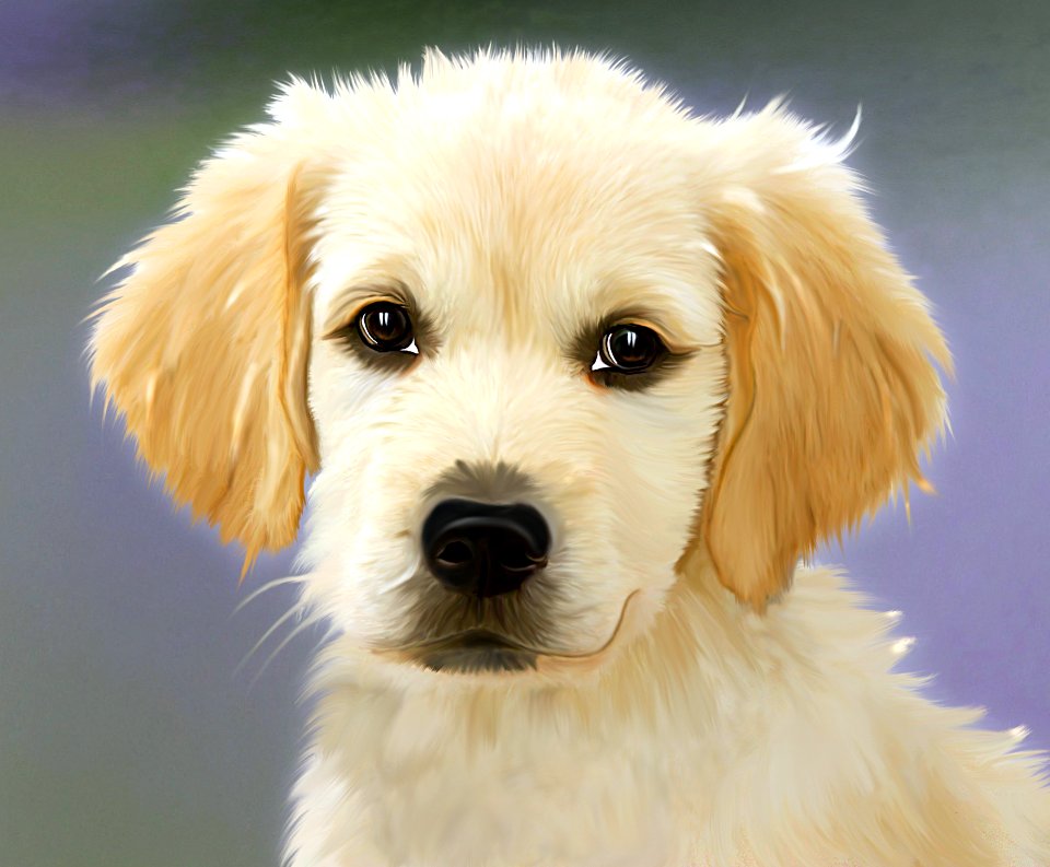 Dog Dog Like Mammal Dog Breed Golden Retriever