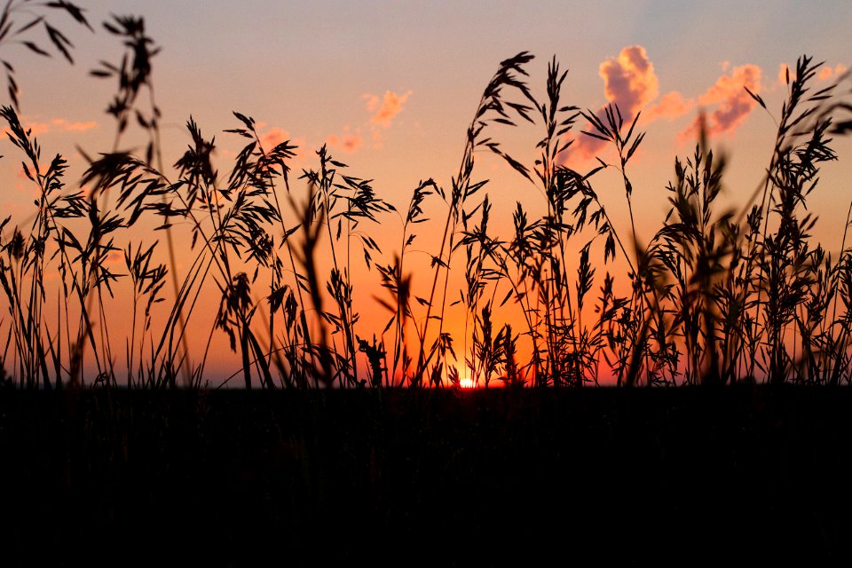 Attending The Sunset