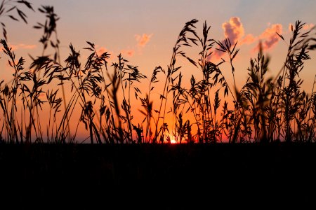 Attending The Sunset
