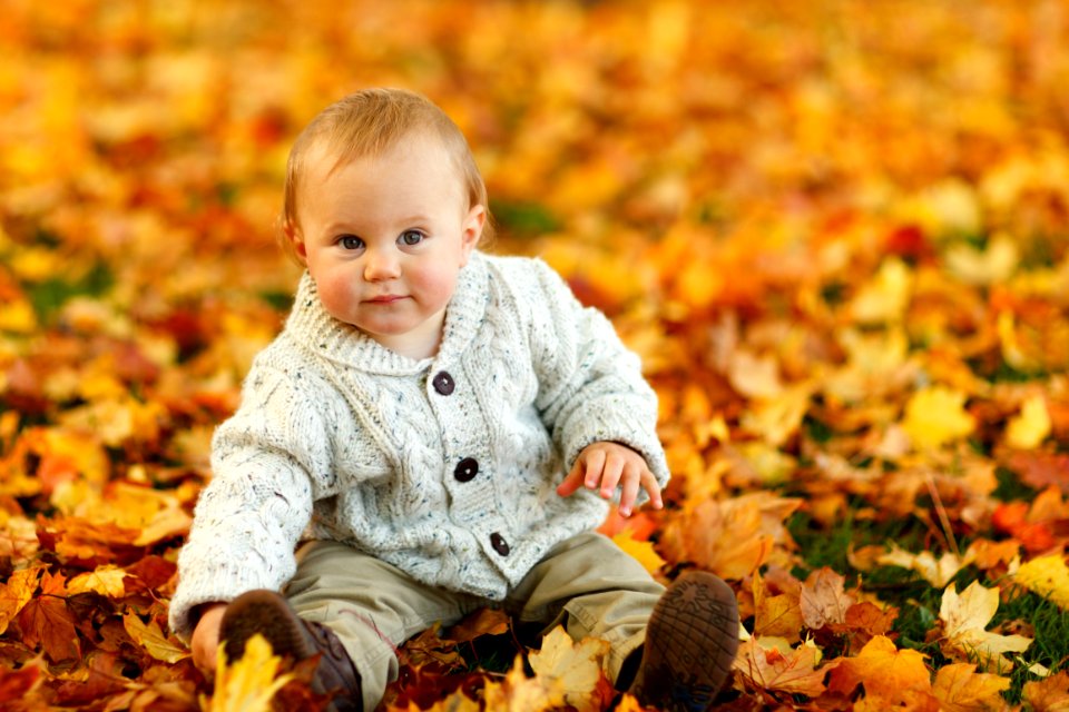 Leaf Autumn Child Yellow
