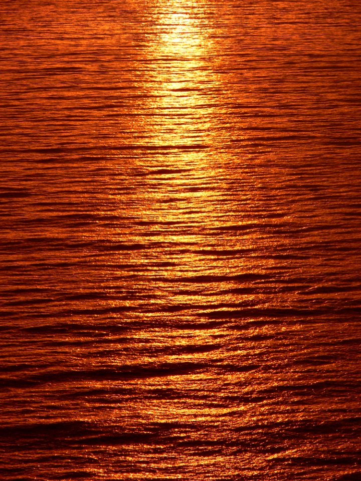Wood Wood Stain Texture Hardwood
