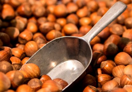 Nuts amp Seeds Nut Hazelnut Tree Nuts