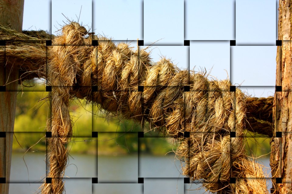 Straw Tree Grass Family Rope