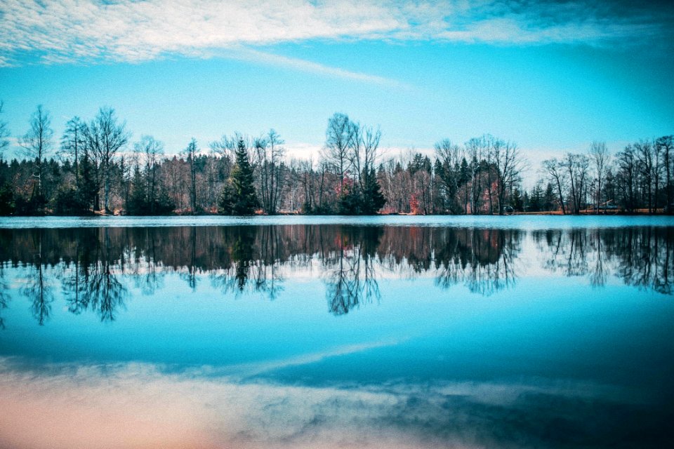 Landscape Reflection