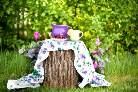 Table Setting In Garden