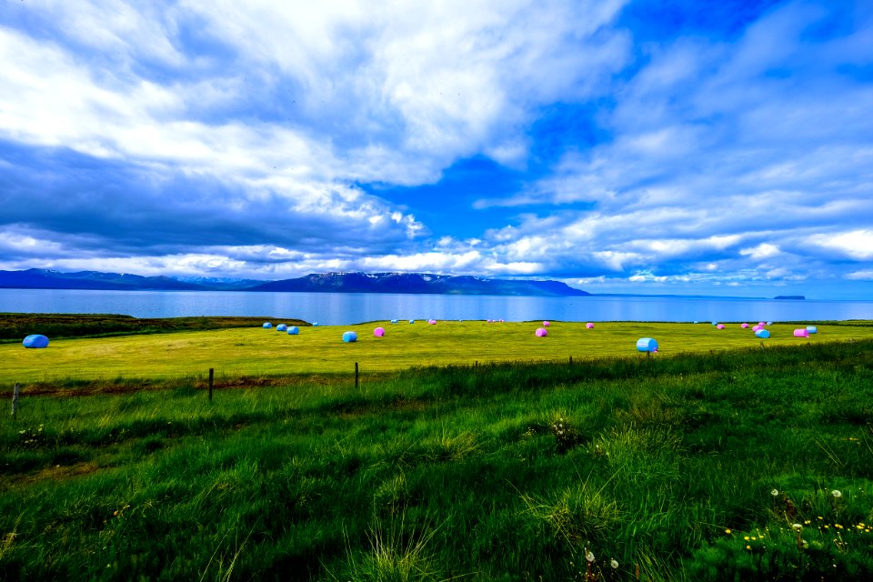 Green Field On Coast