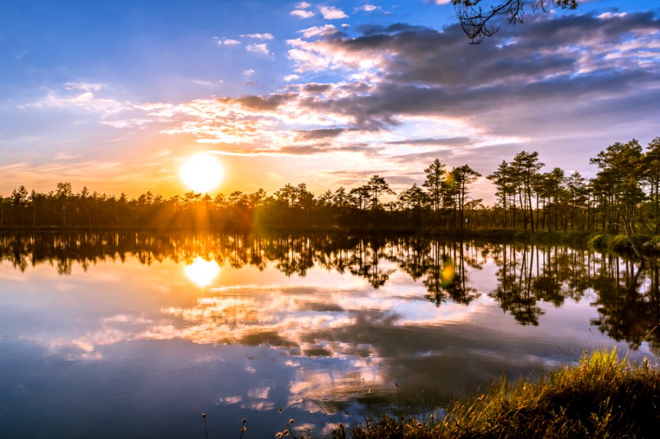Landscape Reflection In Lake