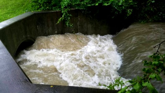 Smith Nature Park And Slyh Run