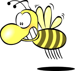 Yellow Invertebrate Honey Bee Membrane Winged Insect