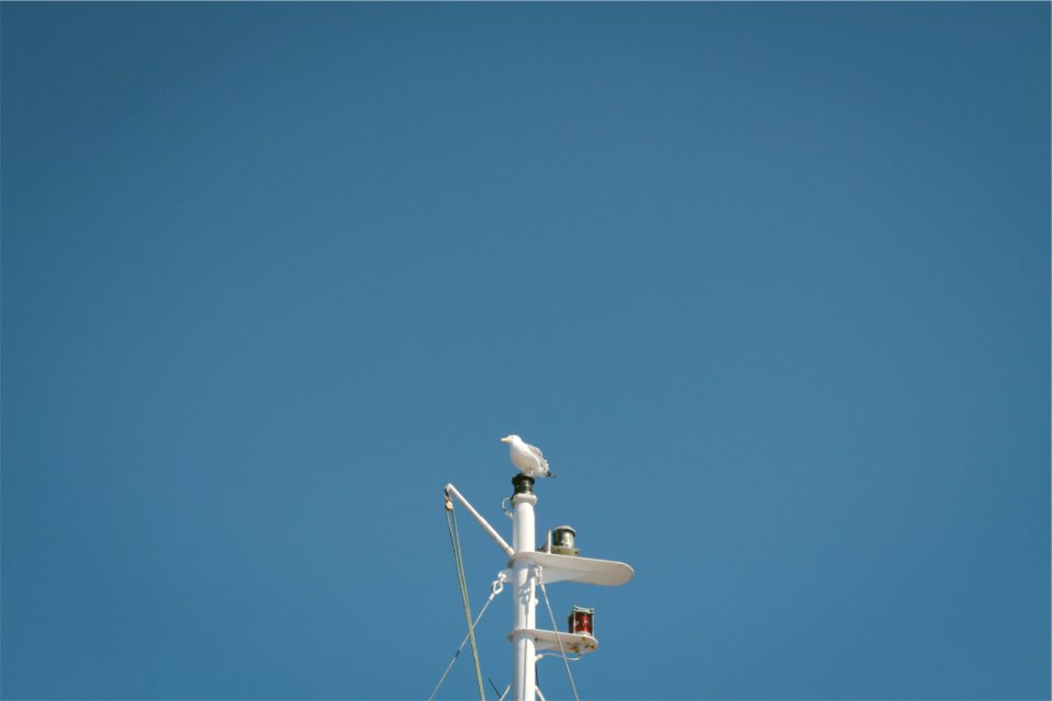 White Metal Pole