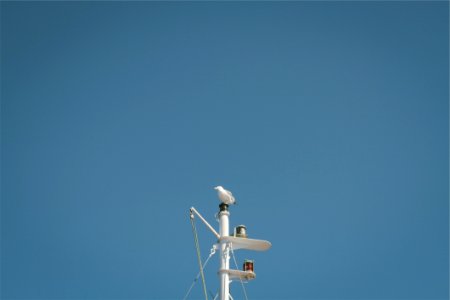 White Metal Pole