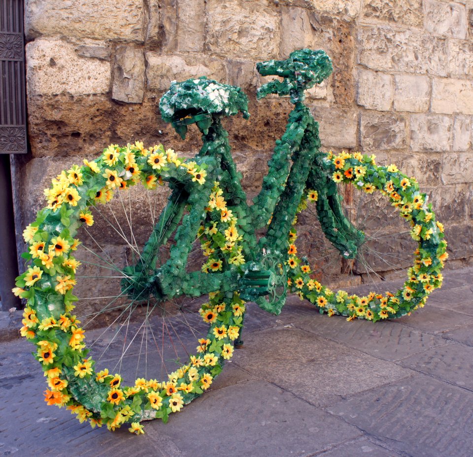 Bicycle Flourished
