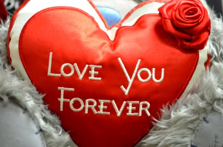Love You Forever photo