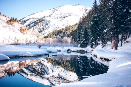 Snowy Forest With Lake Near Mountains During Daytime photo