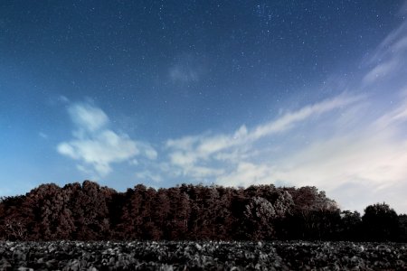 Trees Under Blue Sky photo