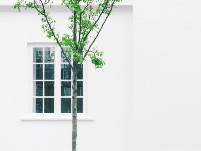 White Wooden Side By Side Window Frame photo