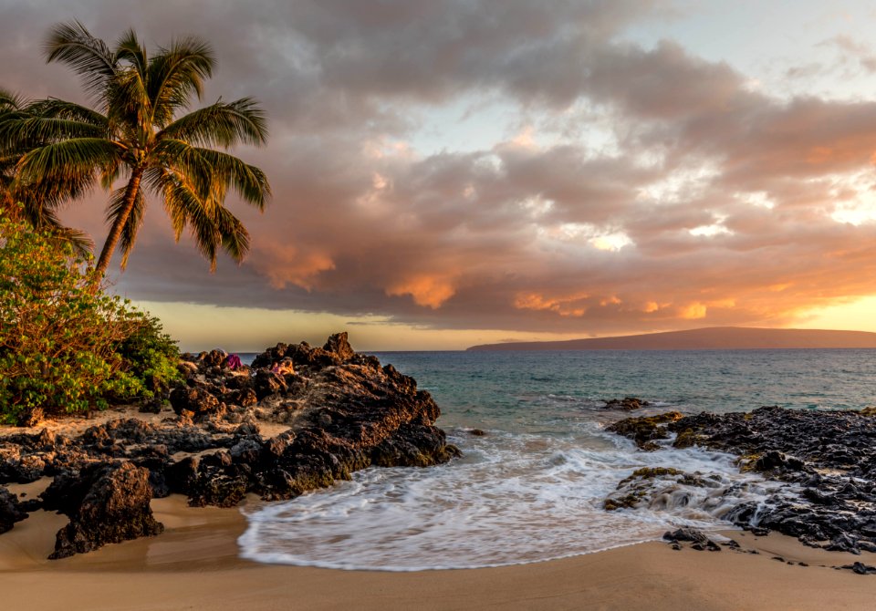 Island In The Sun With Beach And Palm Trees