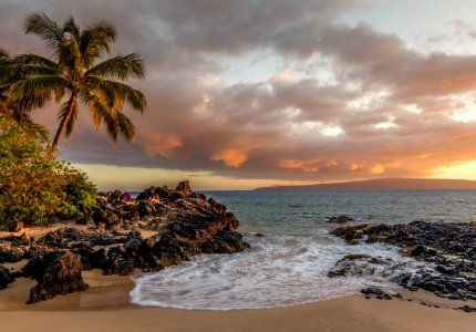 Island In The Sun With Beach And Palm Trees