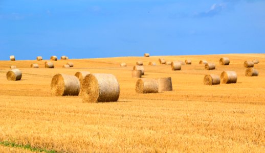 Bales Of Straw