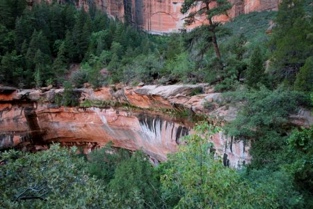 Cliffs In Forest