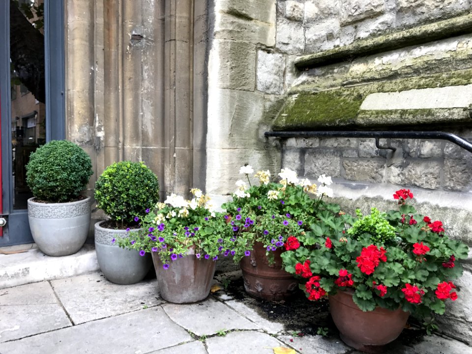 Flower Pots By Wall