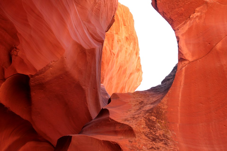 Canyon Of Red Sandstone