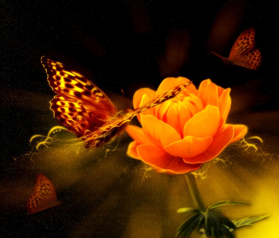 Flower And Butterfly