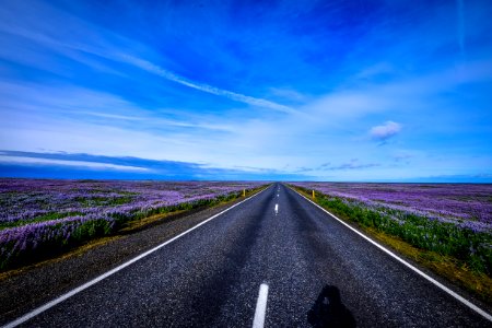 Highway Through Heathland