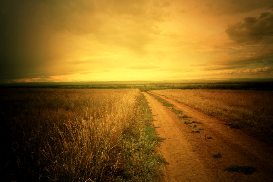 Road In A Field