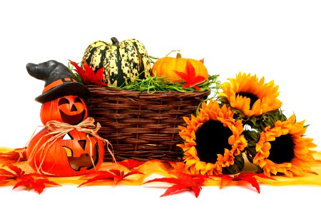 Halloween Harvest Decoration photo