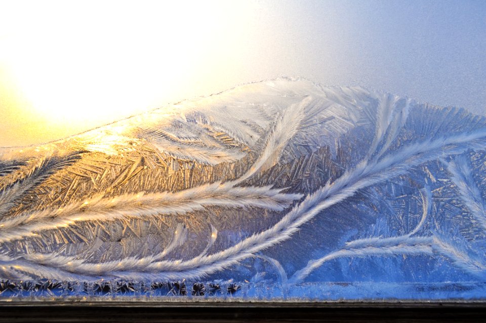 Frost