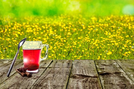 Sunny Day And Tea