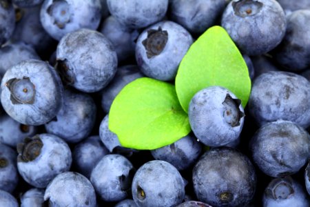 Fruit Blueberry Food Produce photo
