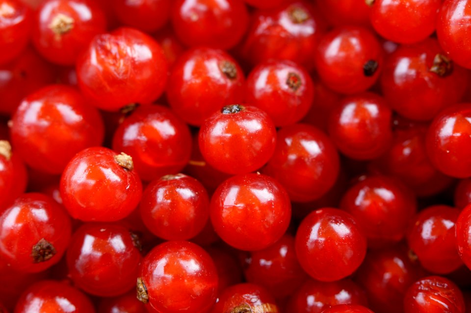 Red Round Small Fruit