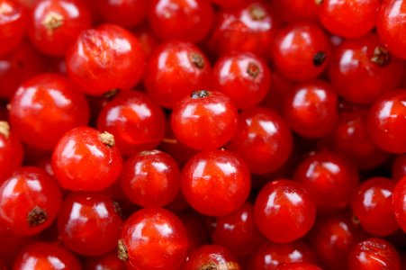 Red Round Small Fruit