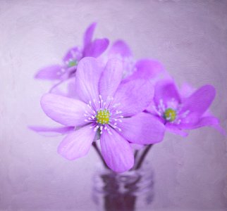 Purple Flowers In Vase photo