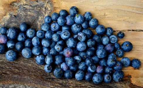 Blueberry Fruit Berry Bilberry photo
