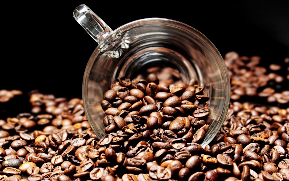 Coffee Cocoa Bean Jamaican Blue Mountain Coffee Caffeine