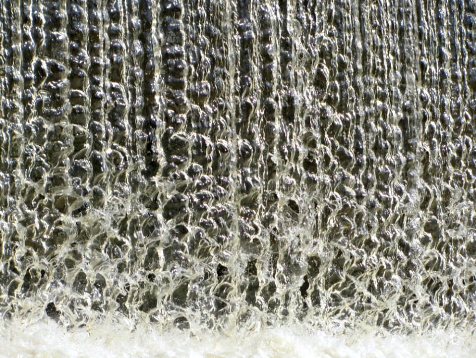 Water Tree Freezing Pattern