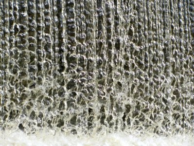 Water Tree Freezing Pattern