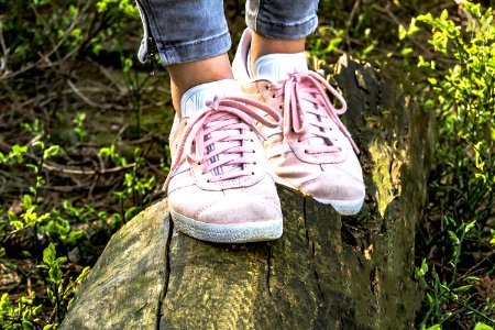 Footwear Shoe Grass Tree photo